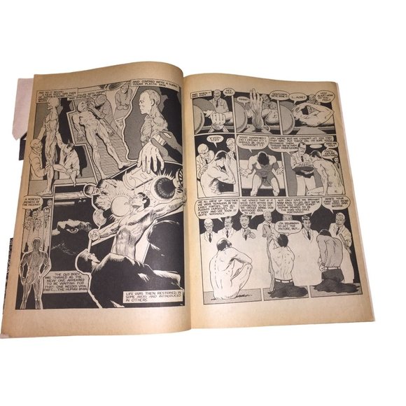 Middle Class Fantasies Vintage Underground Comix Comic Book - 1973 Jerry Lane - Picture 11 of 16